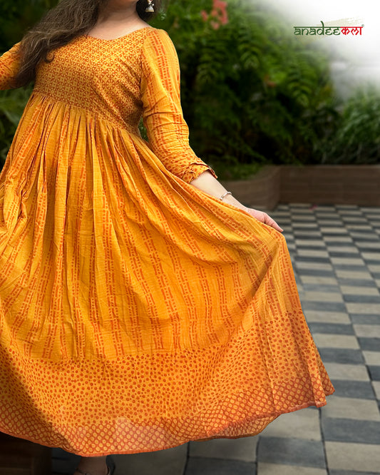 Sunlit Saffron- Flared Anarkali Dress