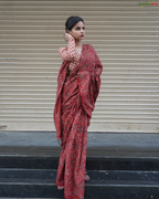 Brick Beauty - Ajrakh Saree