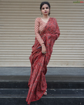 Brick Beauty - Ajrakh Saree